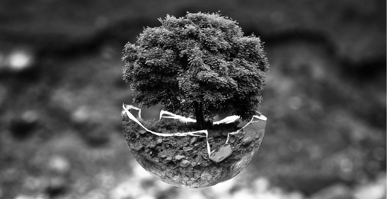 Diritto dell’Ambiente